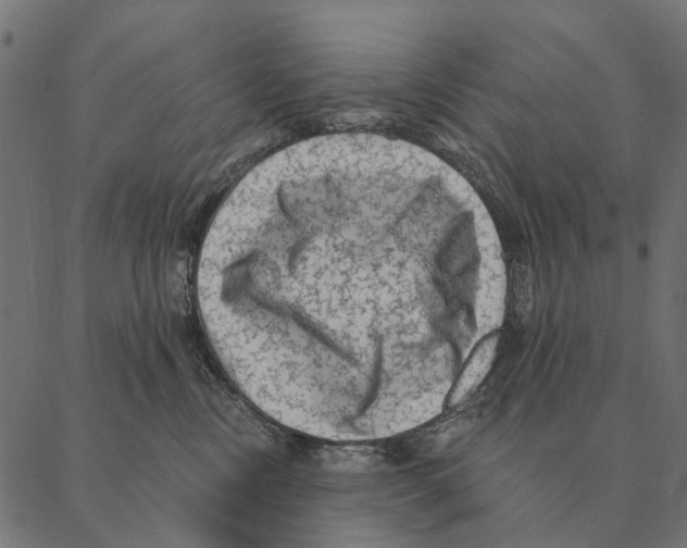 X0000087340378200705181107