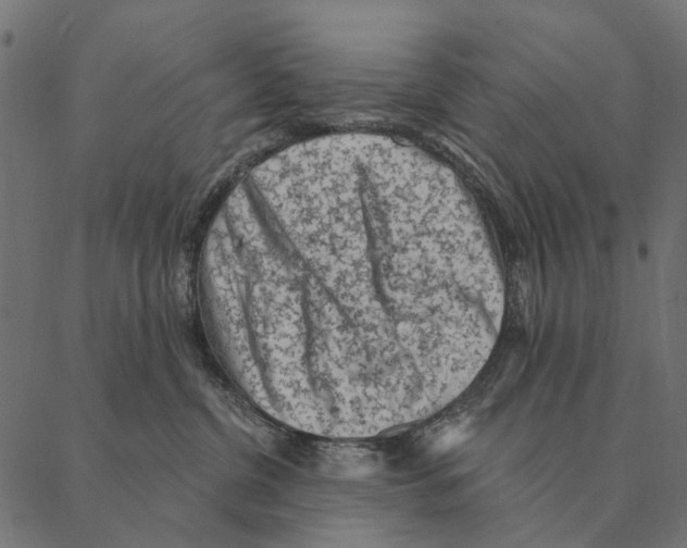 X0000087340380200705181107