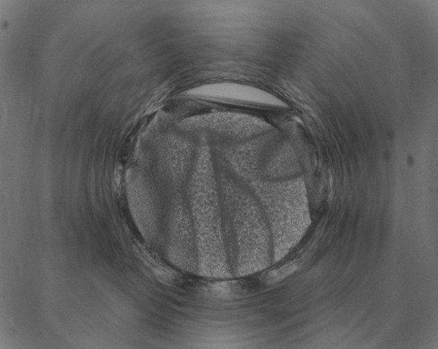 X0000087340382200705181107