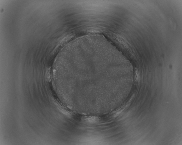 X0000087340383200705181107