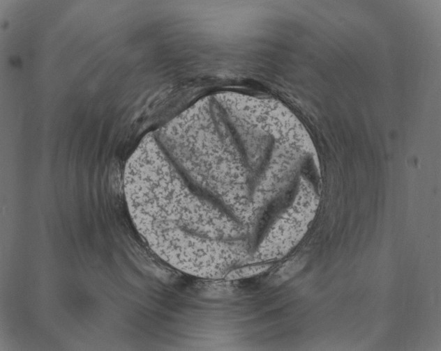 X0000087340384200705181107