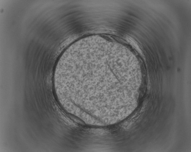 X0000087340389200705181106