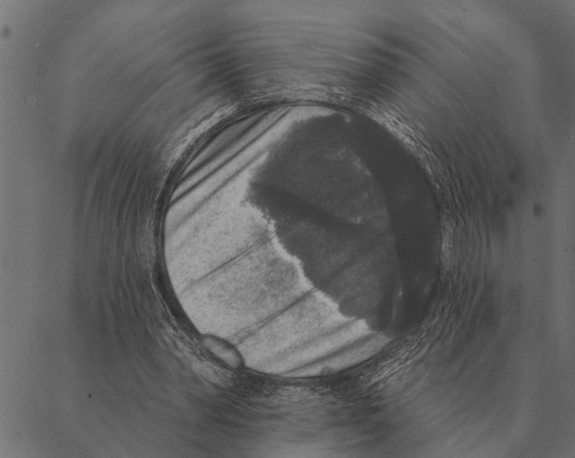 X0000087340390200705181106