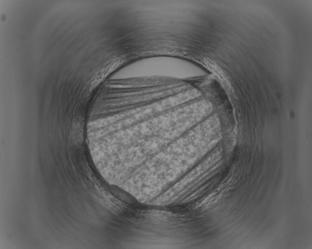 X0000087340393200705181106