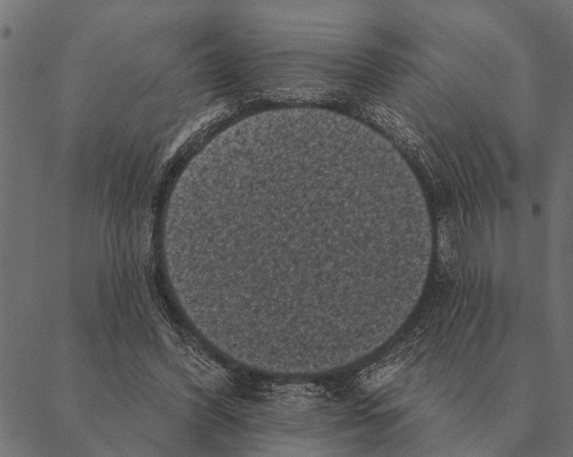 X0000087340396200705181106