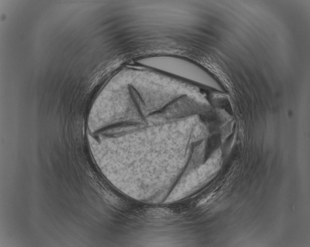 X0000087340397200705181106