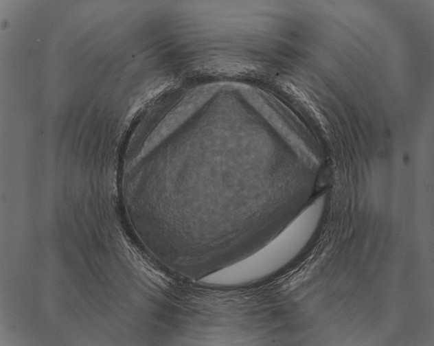 X0000087340399200705181106