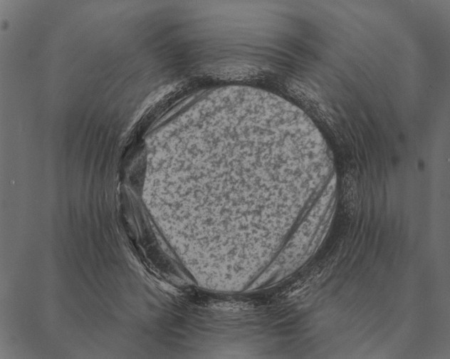 X0000087340400200705181106