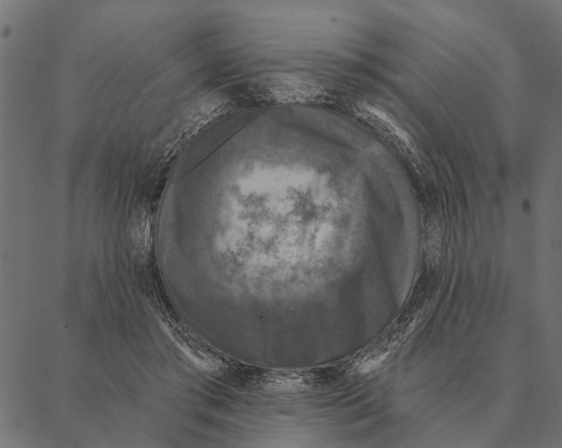 X0000087340405200705181106