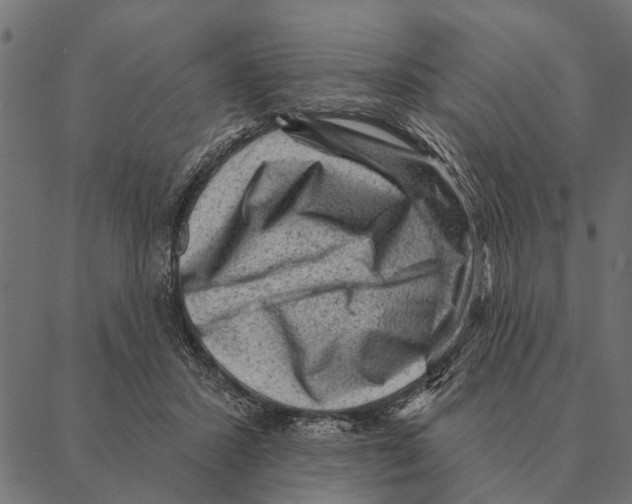 X0000087340407200705181106