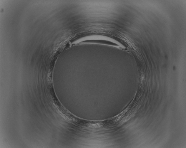 X0000087340411200705181106