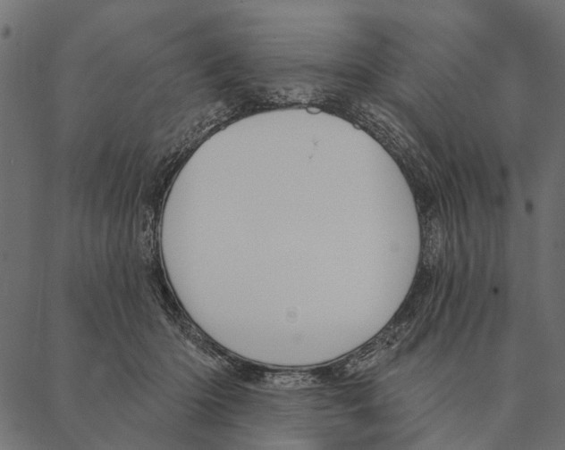 X0000087340414200705181106