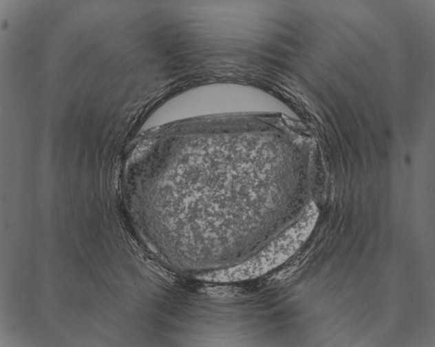 X0000087340417200705181106