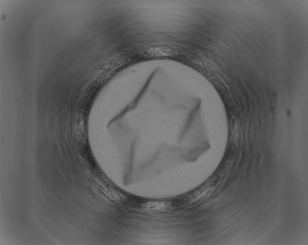 X0000087340418200705181106