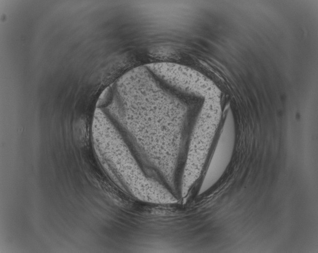 X0000087340420200705181106