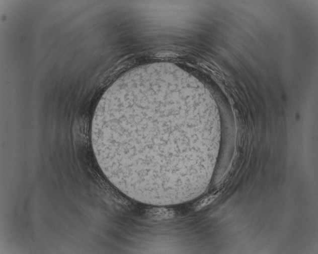 X0000087340421200705181106