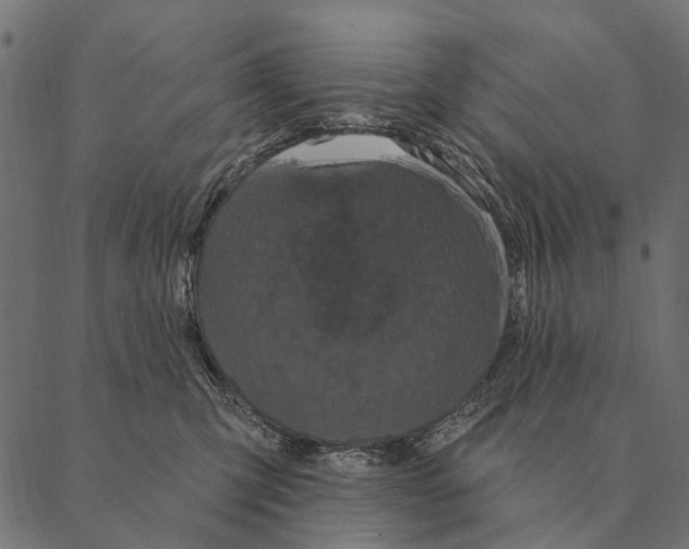 X0000087340423200705181106