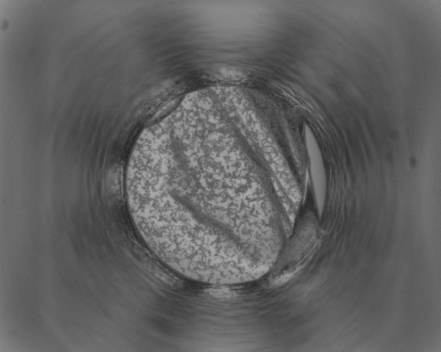 X0000087340425200705181106