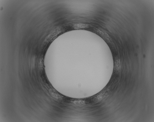 X0000087340426200705181106