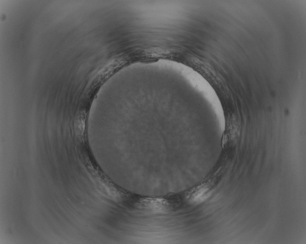 X0000087340427200705181106