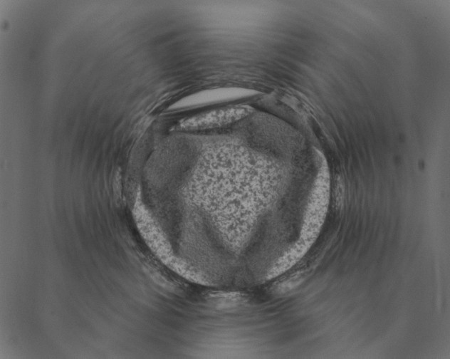 X0000087340428200705181106
