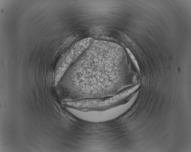 X0000087340429200705181106