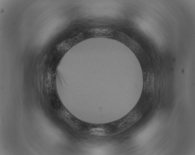 X0000087340430200705181106