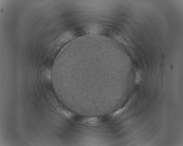 X0000087340431200705181106