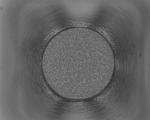 X0000087340433200705181105