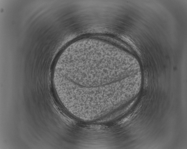 X0000087340439200705181105
