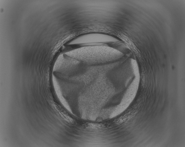 X0000087340442200705181105