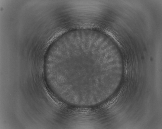 X0000087340443200705181105
