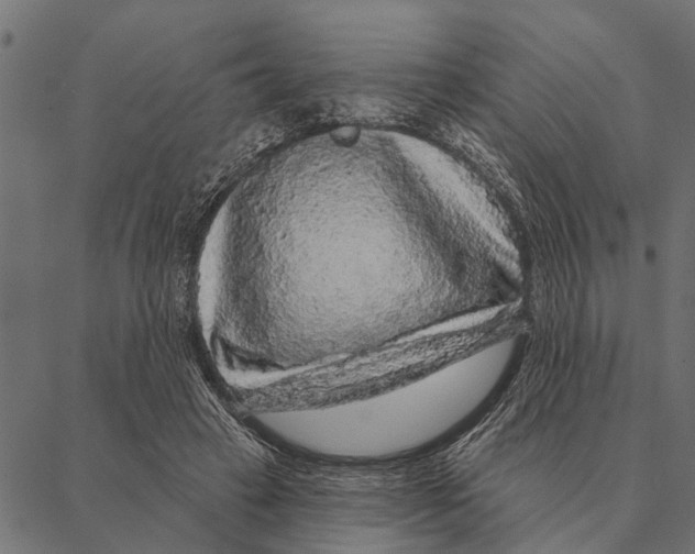 X0000087340449200705181105