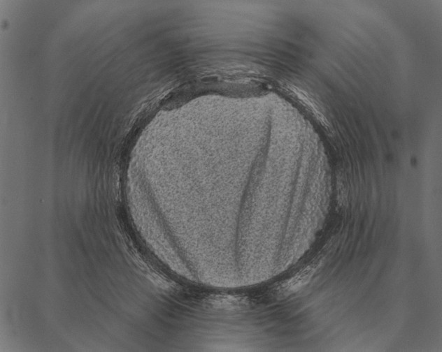 X0000087340453200705181105