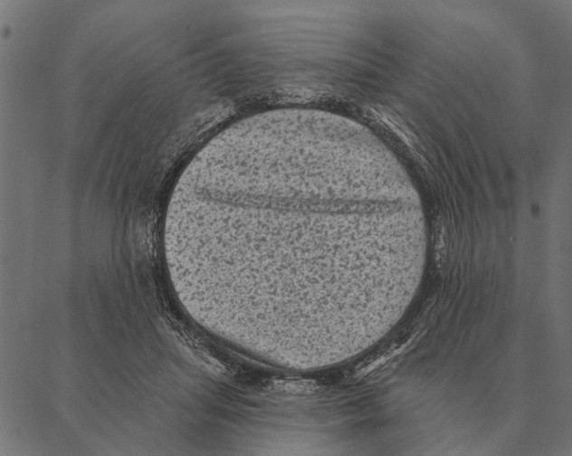 X0000087340455200705181105