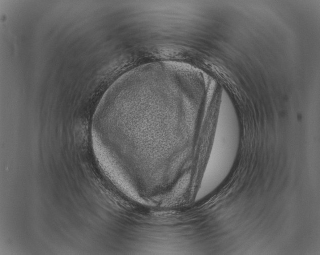 X0000087340461200705181105