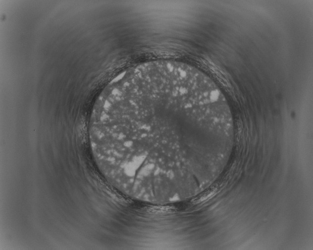 X0000087340465200705181105