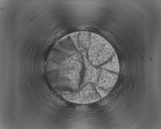 X0000087340470200705181106