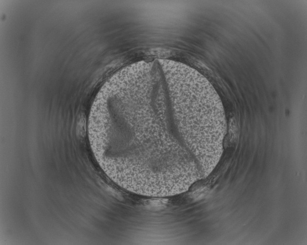 X0000087340474200705181106