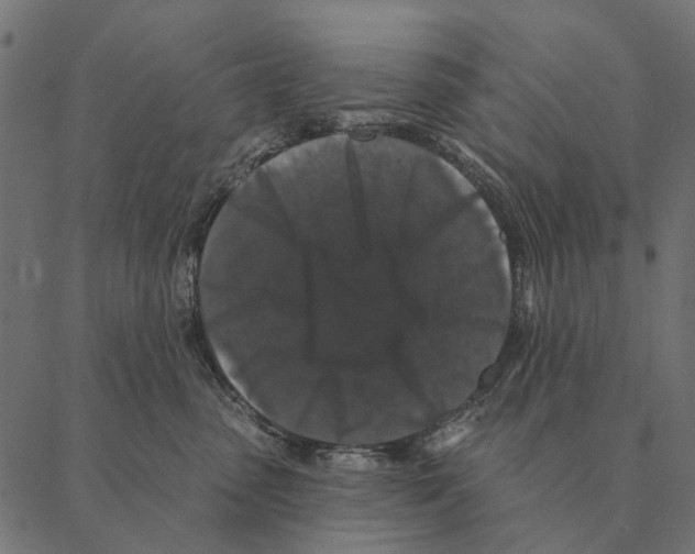 X0000087340475200705181106