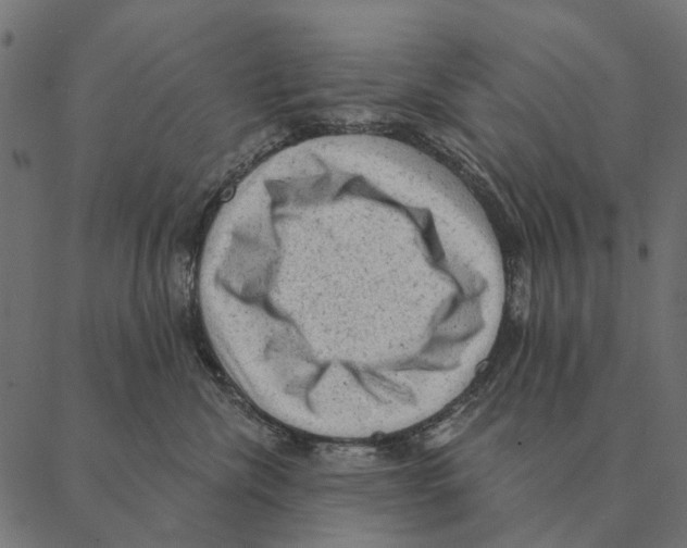 X0000087340476200705181106