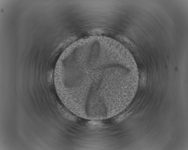 X0000087340477200705181106