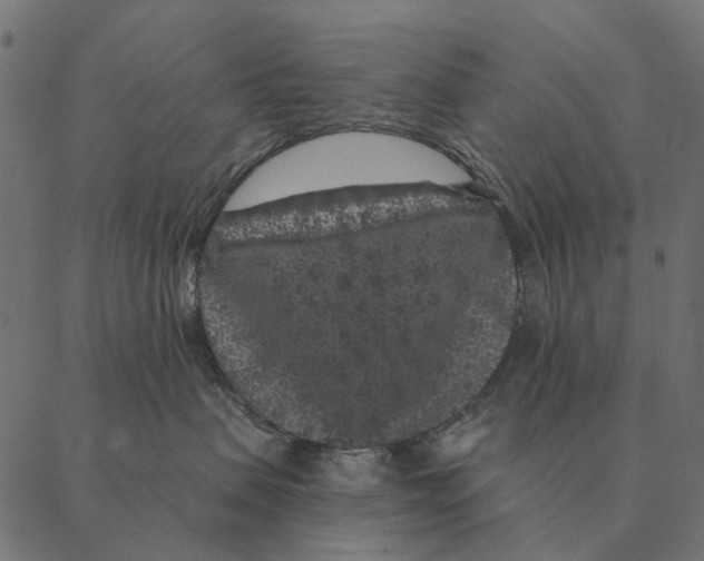 X0000087340479200705181106