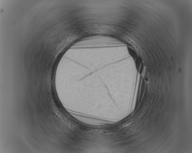 X0000087340482200705181105