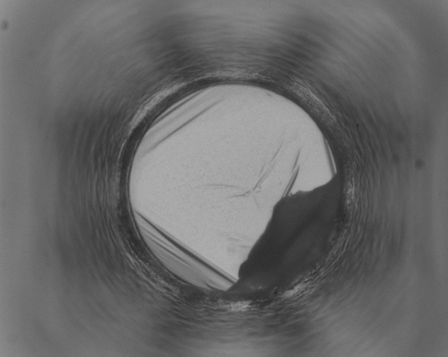X0000087340484200705181105