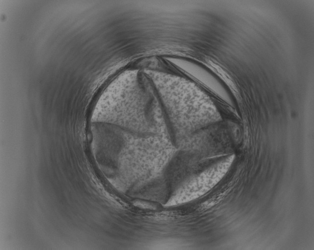 X0000087340485200705181105