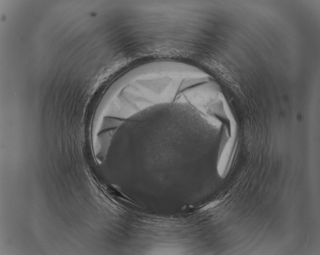 X0000087340488200705181105