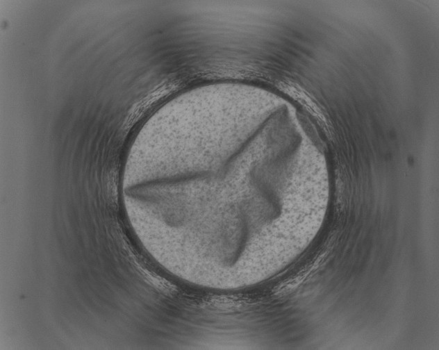 X0000087340489200705181105