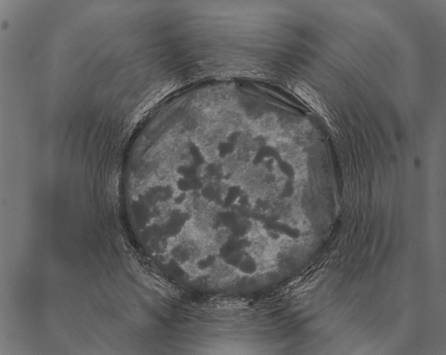 X0000087340491200705181105