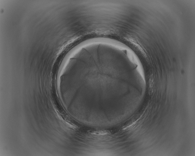 X0000087340492200705181105